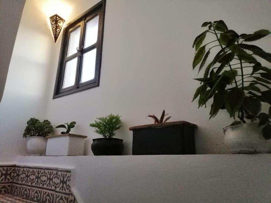 Charmant Riad Pour Familles Ou Groupes - Dar Mama Essaouira Exteriör bild